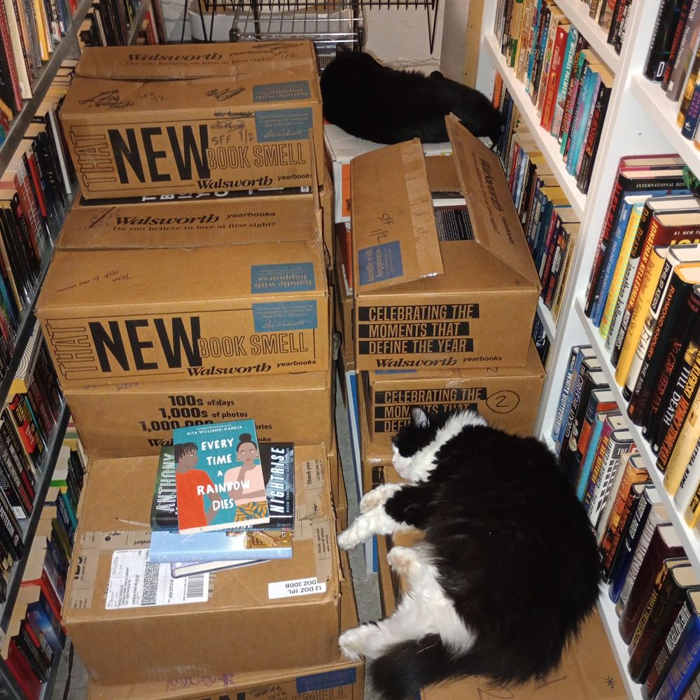 Photo of a bookstore aisle just absolutely packed with full boxes of books. A black cat and a tuxedo cat are stretched out and sleeping on two different boxes. These cats are crashed all the way out.