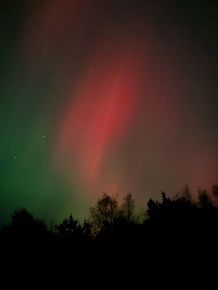 Trees silhouetted in front of aurora borealis in green with a big red streak and a few stars