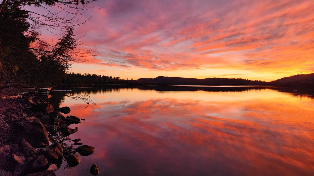 Clearwater Lake in the BWCAW at dawn. The sky is pink and purple and gold, which is reflected in the water.
