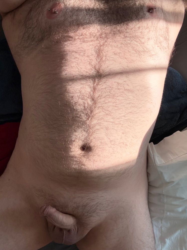 A pic looking down at my hairy torso as the sun creates interesting contours; my modest semi erect penis and slightly cold balls are visible. 