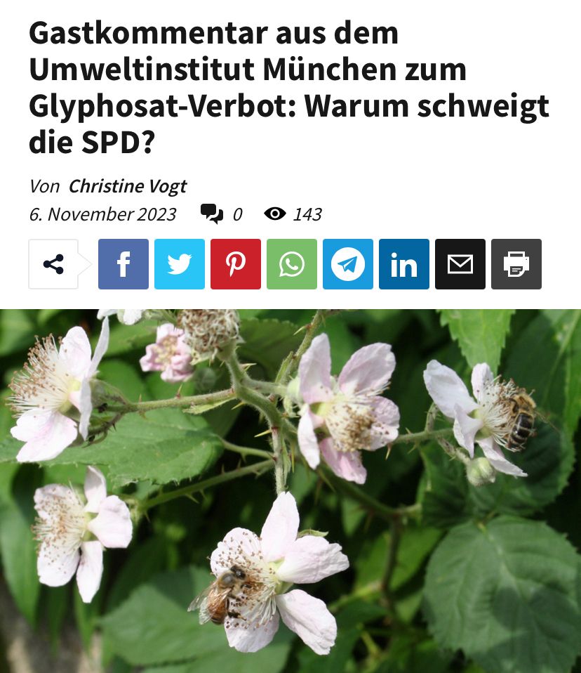 Auf dem Bild steht der Text: Gastkommentar aus dem Umweltinstitut München zum Glyphosat Verbot: warum schweigt die SPD? Von Christine Vogt, 6. November 2023. Darunter ist ein Foto von weißen Blüten mit Bienen darin und grünen Blättern.
