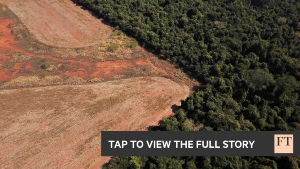 Deforestation surges in Brazil’s sensitive Cerrado region