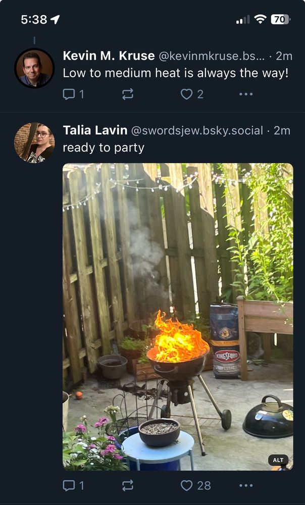 Screen shot of posts. Top says “Low to medium heat is always the way to go.”
Second post shows a grill with flames shooting up