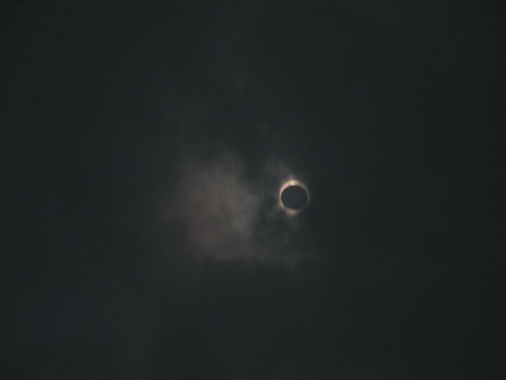 Totality - Buffalo NY