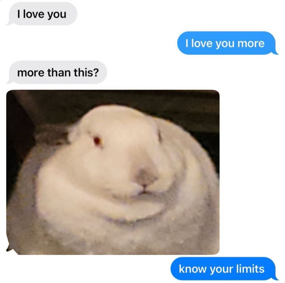 a text conversation between a couple that says “i love you” “i love you more” “more than this?” and a picture of a fat white rabbit with red eyes and grey ears and a grey nose is added. the second person says “know your limits”