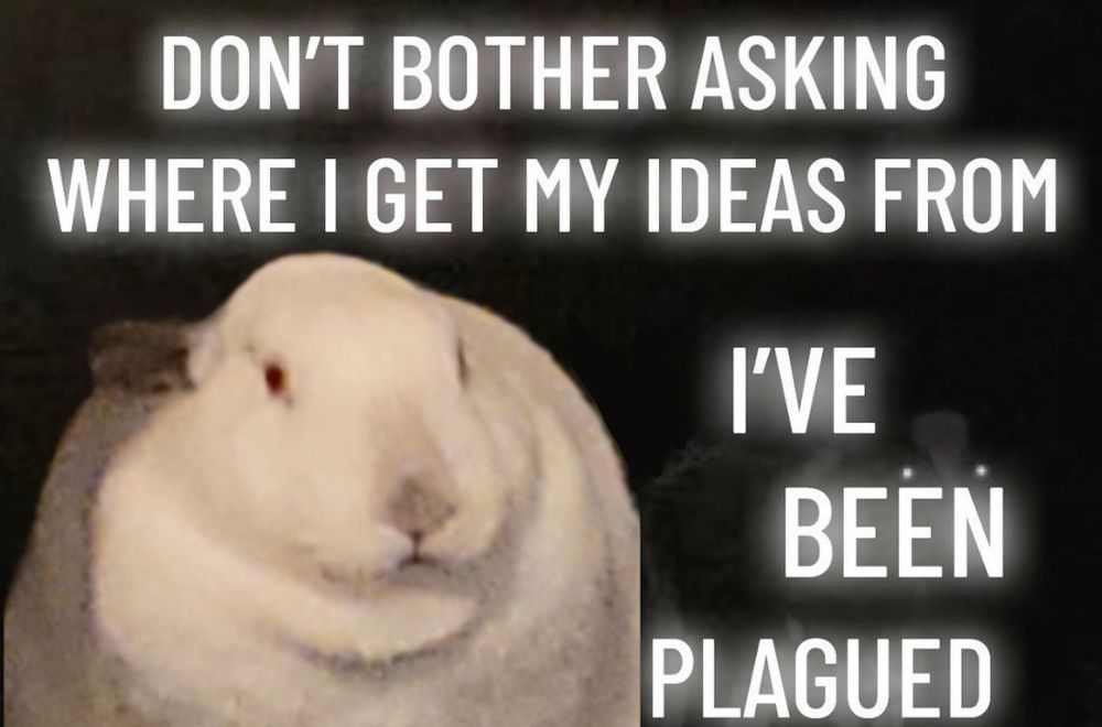 an image of a fat white rabbit with grey ears and a grey nose and red eyes with the caption “don’t bother asking where i get my ideas from. i’ve been plagued”