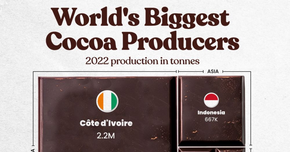 The World's Top Cocoa Producing Countries