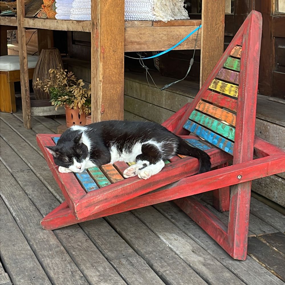 A black and white cat sleeping in a triangular shaped, colored chair.