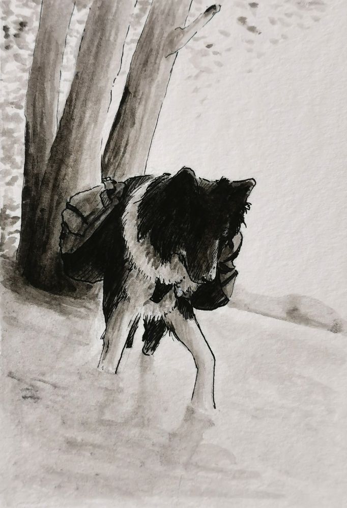 Ink drawing of a black-and-white dog wearing a backpack, walking ankle‑deep in water with trees in the background.