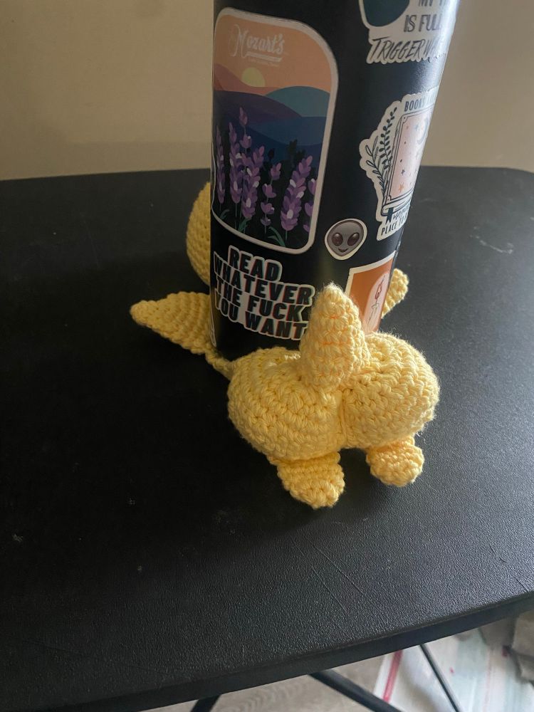 A picture of my bbyongming coaster from behind, showing his very prominent booty 