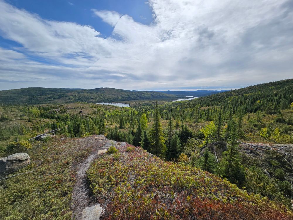 Vue du lac Arthabaska depuis le sentier "le brulé". Épinettes noires, bleuets aux feuilles rouges, ciel bleu et quelques nuages blancs.