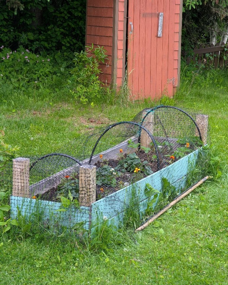 above ground planter with strawberry plants