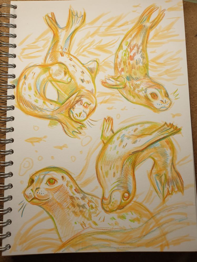 Yellow base , rainbow pencil lines rough seal sketches 