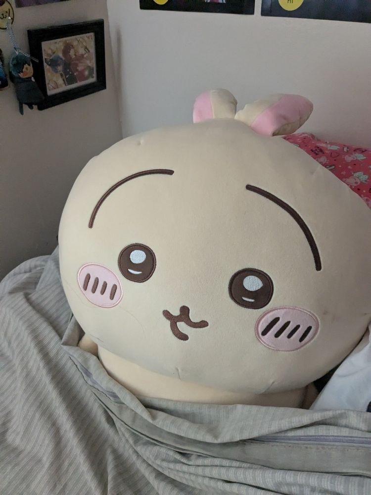 Big and greedy usagi taking up half of my bed