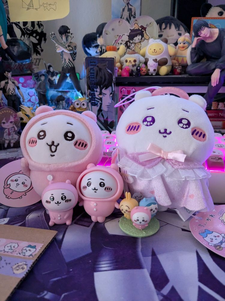 All the little doodads my partner got me :0!!!