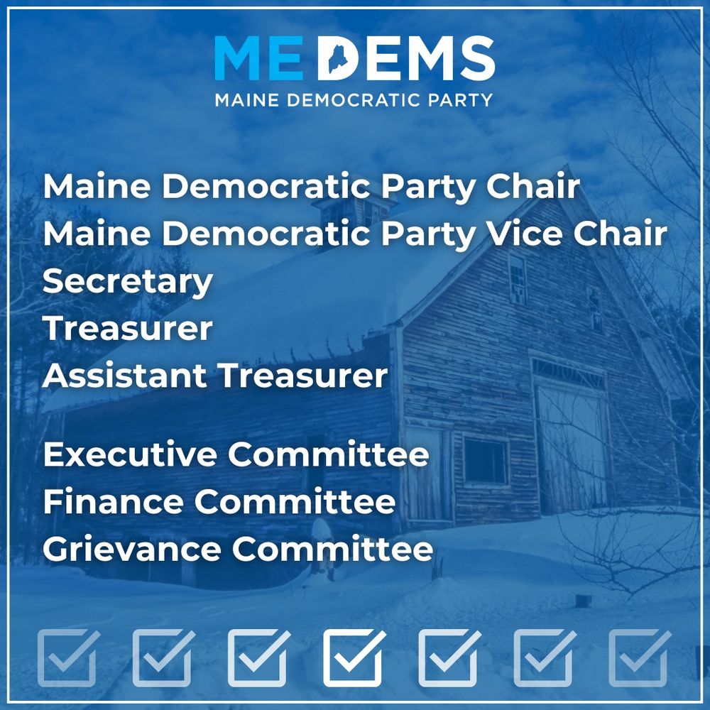 Maine Democratic Party Chair
Maine Democratic Party Vice Chair
Secretary
Treasurer
Assistant Treasurer

Executive Committee
Finance Committee
Grievance Committee