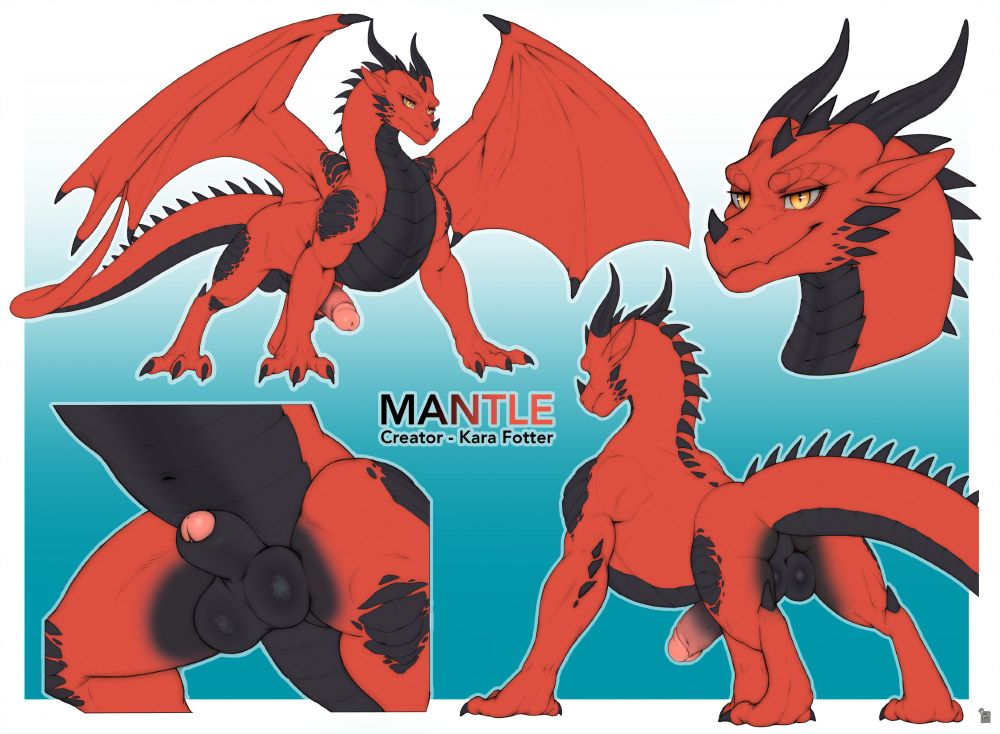 A reference sheet of Mantle, a red dragon with a black chest n' stomach, horns, ears, etc.