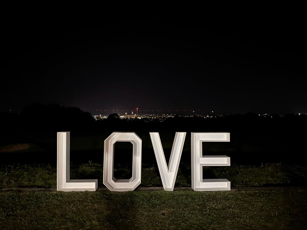 A photo of a night view atop a hill with city lights in the distance. The word love is spelled out in giant letters on the grass. 