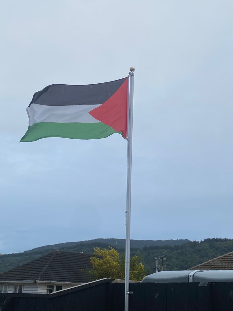 Picture of the Palestinian flag waving in the wind. 
