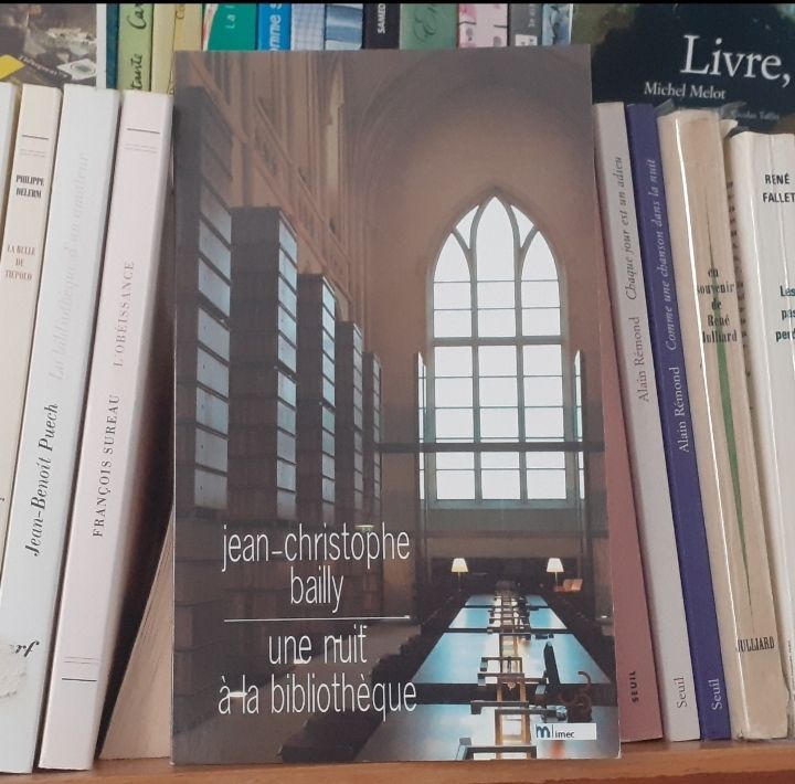 Couverture du livre de jean Christophe Bailly ''une nuit à la bibliothèque '' aux éditions Bourgois. Histoire qui transforme les livres en personnages qui discutent la nuit quand les lecteurs humains ne sont plus là