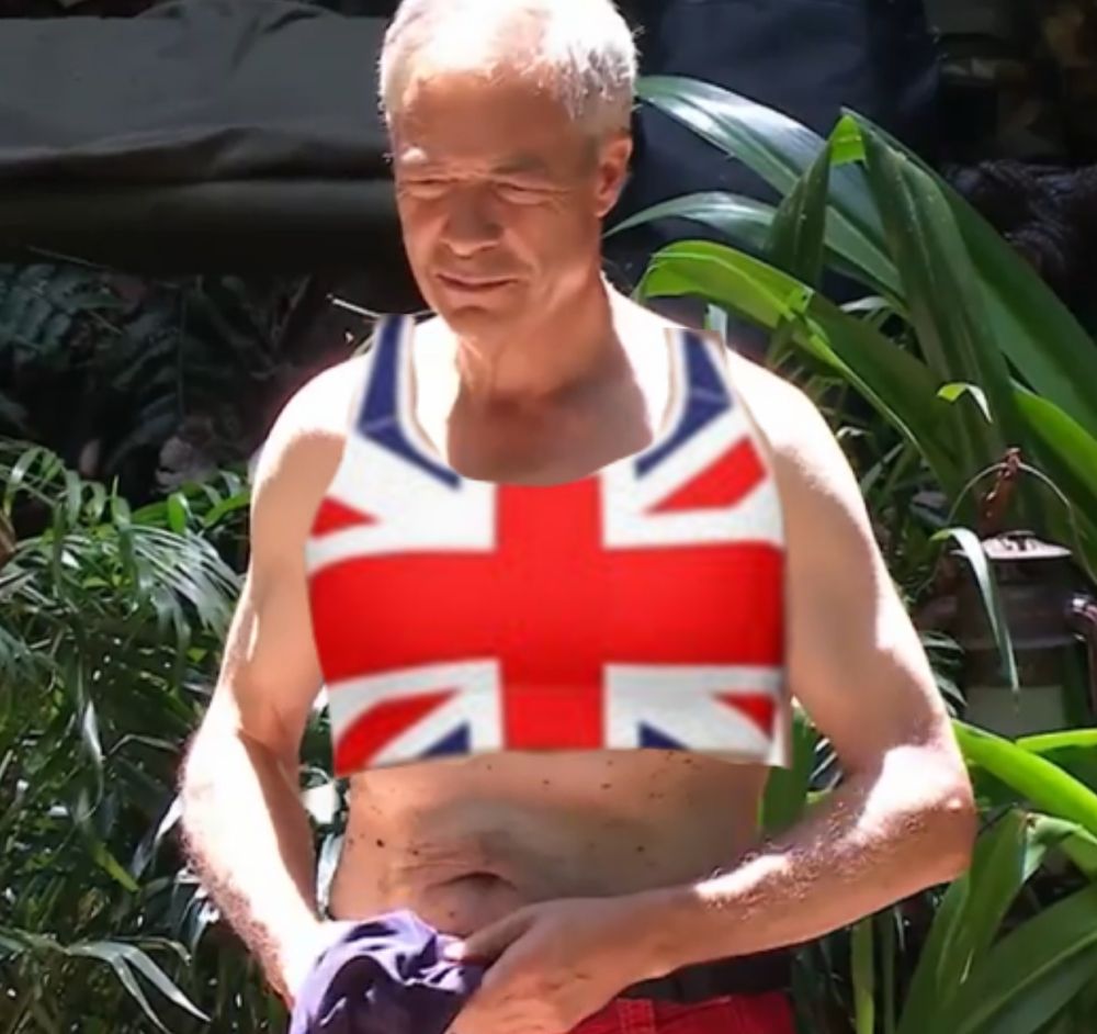 Nigel Farage in the "I'm a Celebrity..." jungle with a badly photoshopped Union Jack bra top on
