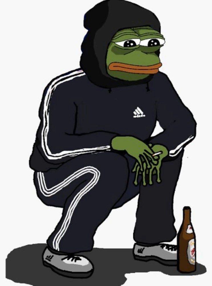 Sad Pepe wearing Adidas with beer meme