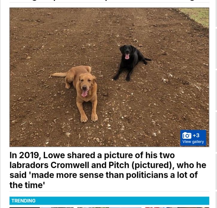 [s/s from Daily Mail article showing a photo of 2 dogs lying on a farm track, one sandy one black, that might be happy or possibly thirsty or maybe both I don't speak dog] Text: In 2019, Lowe shared a picture of his two labradors Cromwell and Pitch (pictured), who he said 'made more sense than politicians a lot of the time' https://www.dailymail.co.uk/news/article-14835013/Reform-UK-Rupert-Lowe-pet-labrador-rifle.html https://archive.ph/FewoB