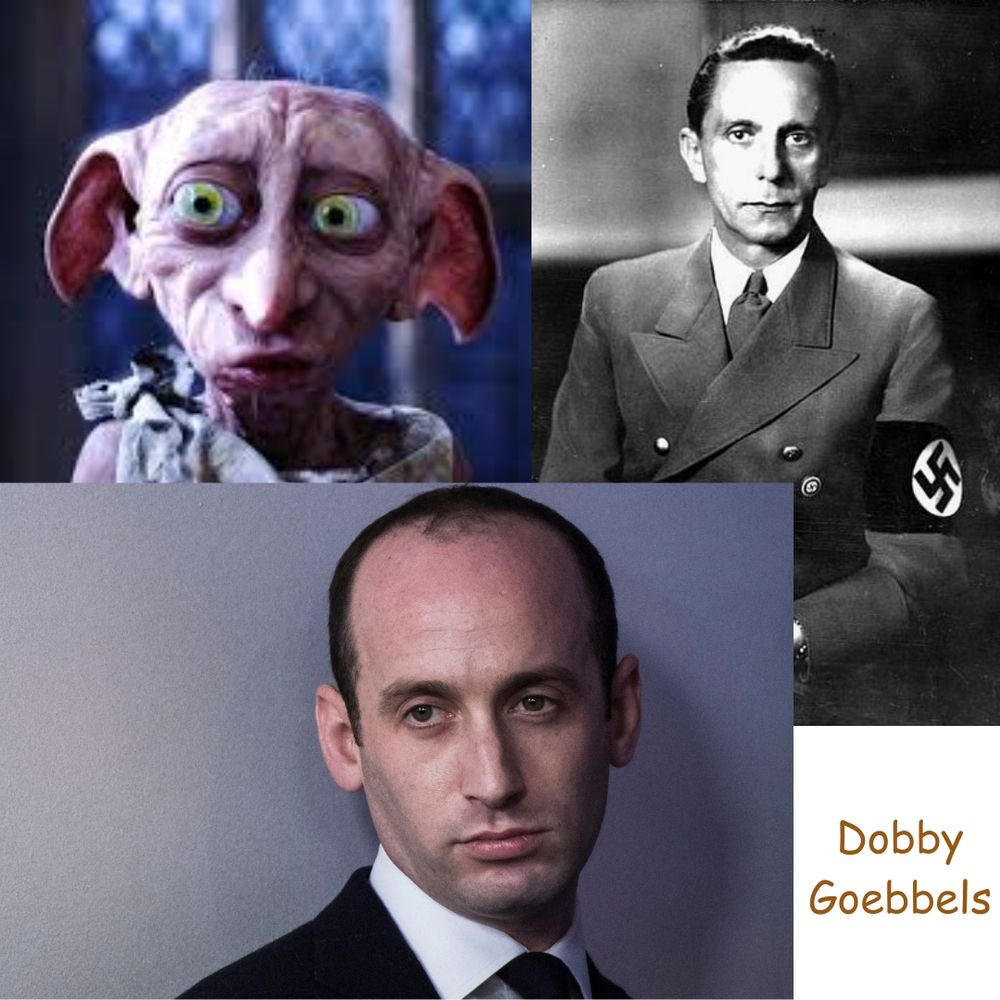 Dobby the House Elf + Joseph Goebbels= Stephen Miller, Nazi White House Elf.
Jora