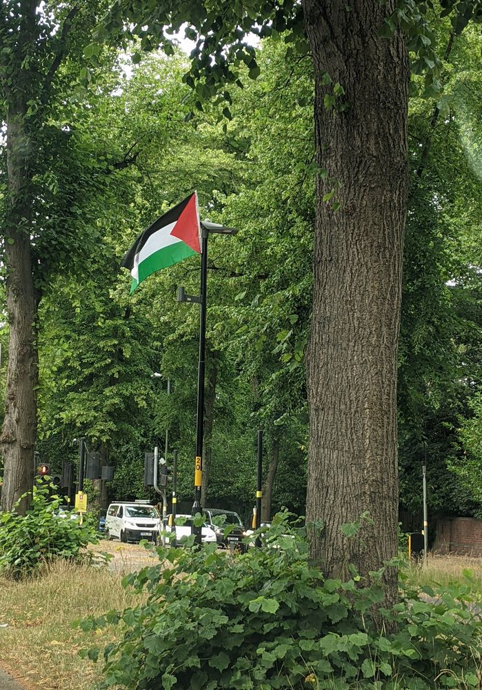 Palestine flag flying from a lamppost in between trees on a cycle route in the middle of a dual carriageway 