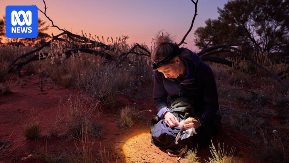 These native species were locally extinct but are now reclaiming their desert homeland