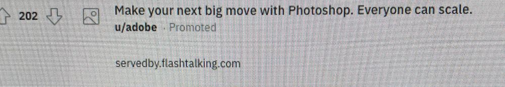 A Reddit ad for a photo editing software product that reads “Everyone can scale.”