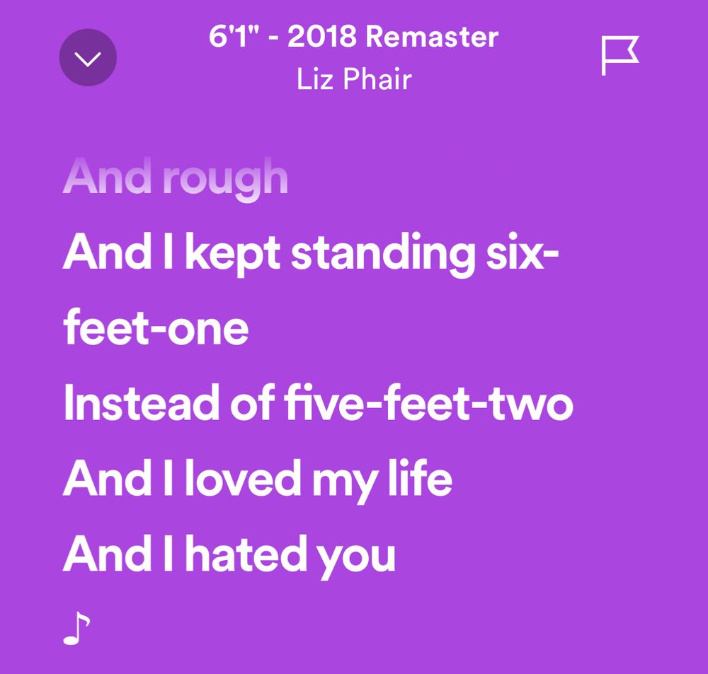 screenshot of the lyrics about one’s height in Liz Phair’s song 6’1”