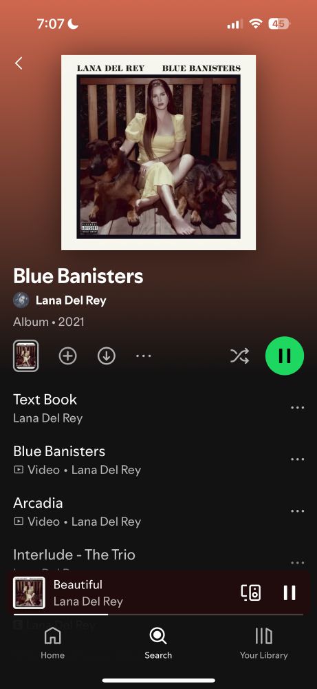 Screen shot of the album Blue Banisters by Lana Del Rey 
