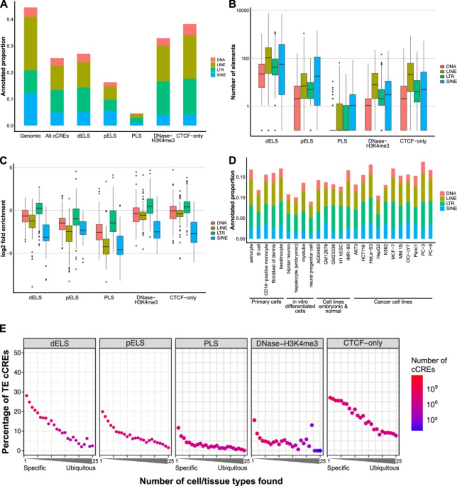 Regulatory transposable elements in the encyclopedia of DNA elements - Nature Communications