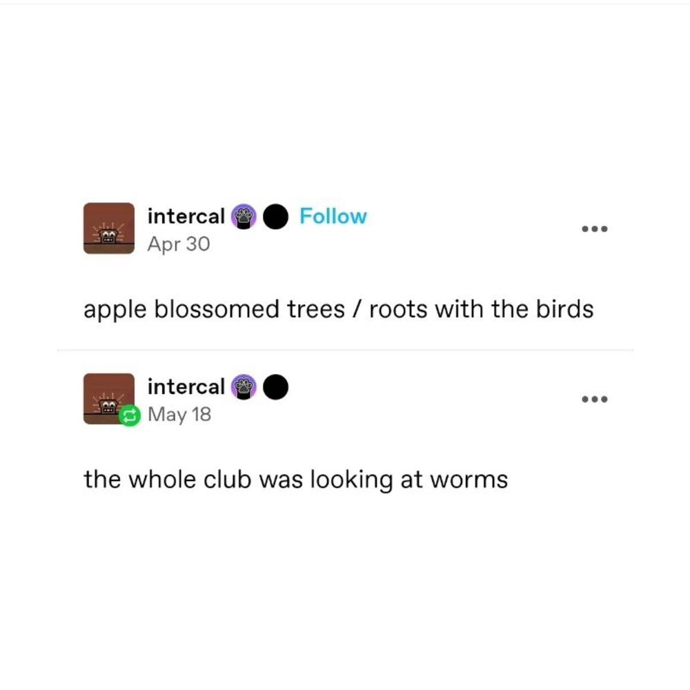 "Low" by Flo Rida meme