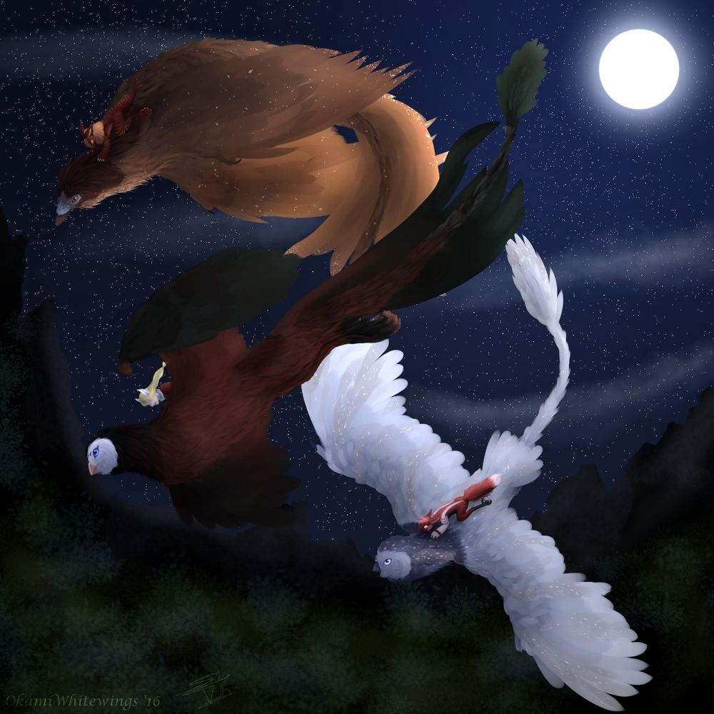 Painting of three dracostryx (bird dragons, specifically owls and a raven) and their riders doing flight acrobatics during a full moon night.
Art from 2016