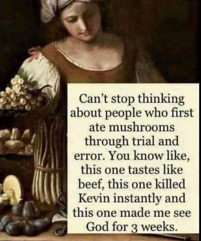 Cant stop thinking about people who first ate mushrooms. You know like this one tastes like beef, this one killed Kevin instantly and this one made me see god for 3 weeks.