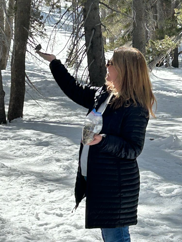 Woman in the snow holding up arm  bird eating from hand