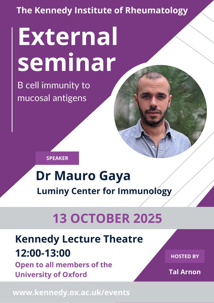 A purple and white poster reads "The Kennedy Institute of Rheumatology External Seminar: B cell immunity to mucosal antigens". The speaker is Dr Mauro Gaya from the Luminy Center for Immunology. 13 October 2025, in the Kennedy Lecture Theatre, 12:00-13:00. Open to all members of the University of Oxford. Hosted by Tal Arnon.