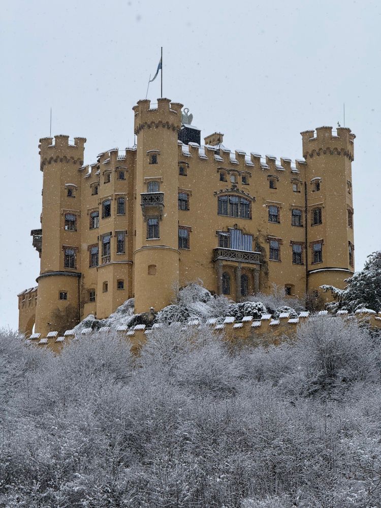A yellow castle in the snow. Schloss Hohenschwangau.