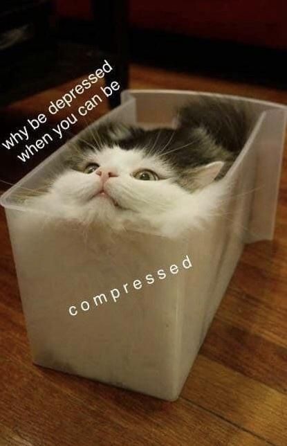 A cat made of liquid fitting correctly into a plastic drawer and you can see her face clearly but otherwise she looks melted or folded perfectly into shape "why be depressed when you can be compressed"