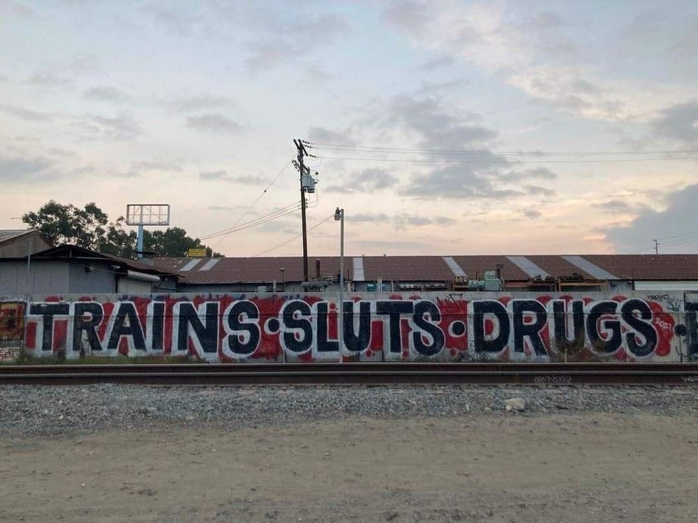 Graffiti on a wall behind some train tracks: trains sluts drugs 