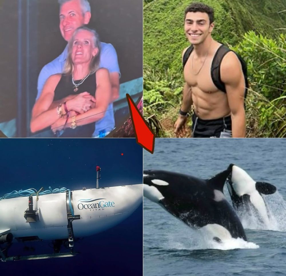 The CEO of Astronomer and his mistress top left, Luigi top right, Oceangate exploding sub bottom left, orcas on bottom right