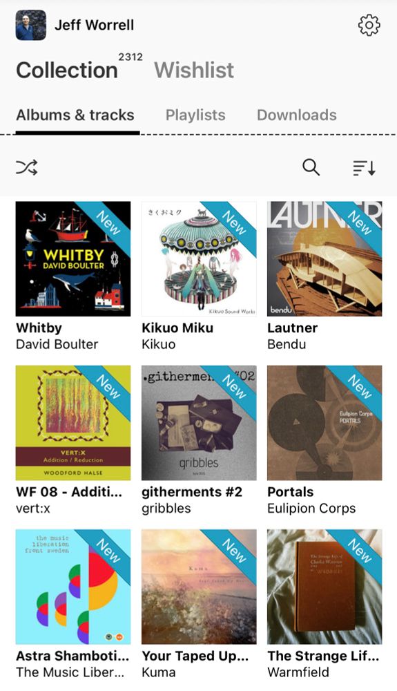 Screencap from the Bandcamp app of new additions to my collection. Releases by: David Boulter, Kikuo, Bendu, vert:x, gribbles, Eulipion Corps, The Music Liberation Front Sweden, Kuma and Warmfield.