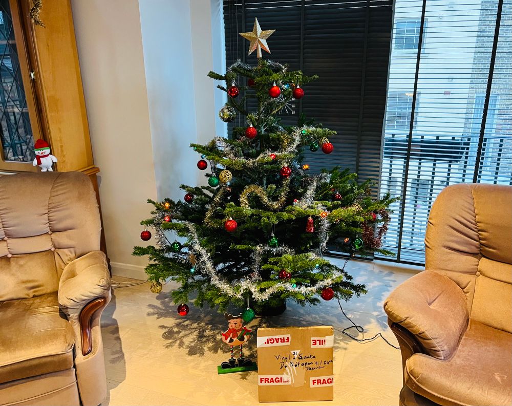 A decorated Christmas tree in a city flat. Rudolph and a parcel are underneath 