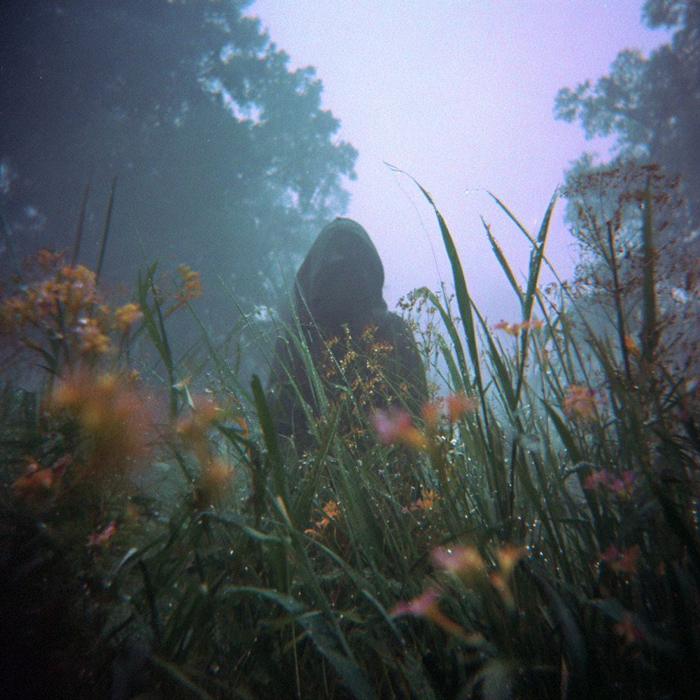 Photo taken with a Lomo LC-A using ISO 100 film. Realistic depth of field. Artistic composition. Nature, Dawn, Trees, Horror, Flowers, Witch, Grass, Weeds, Evil, Insects, Rain, Beautiful Girl, Camouflage, Concealment, Danger, Demonic.
