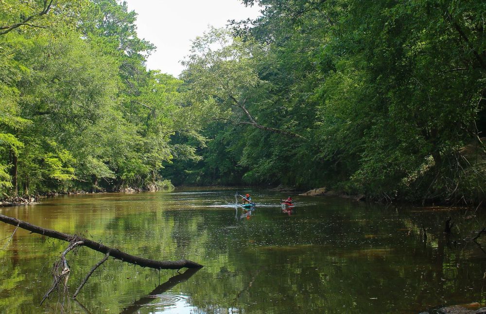 A stream flows between woods on either side. In the distance are 2 kayakers paddling in the relatively still waters. 