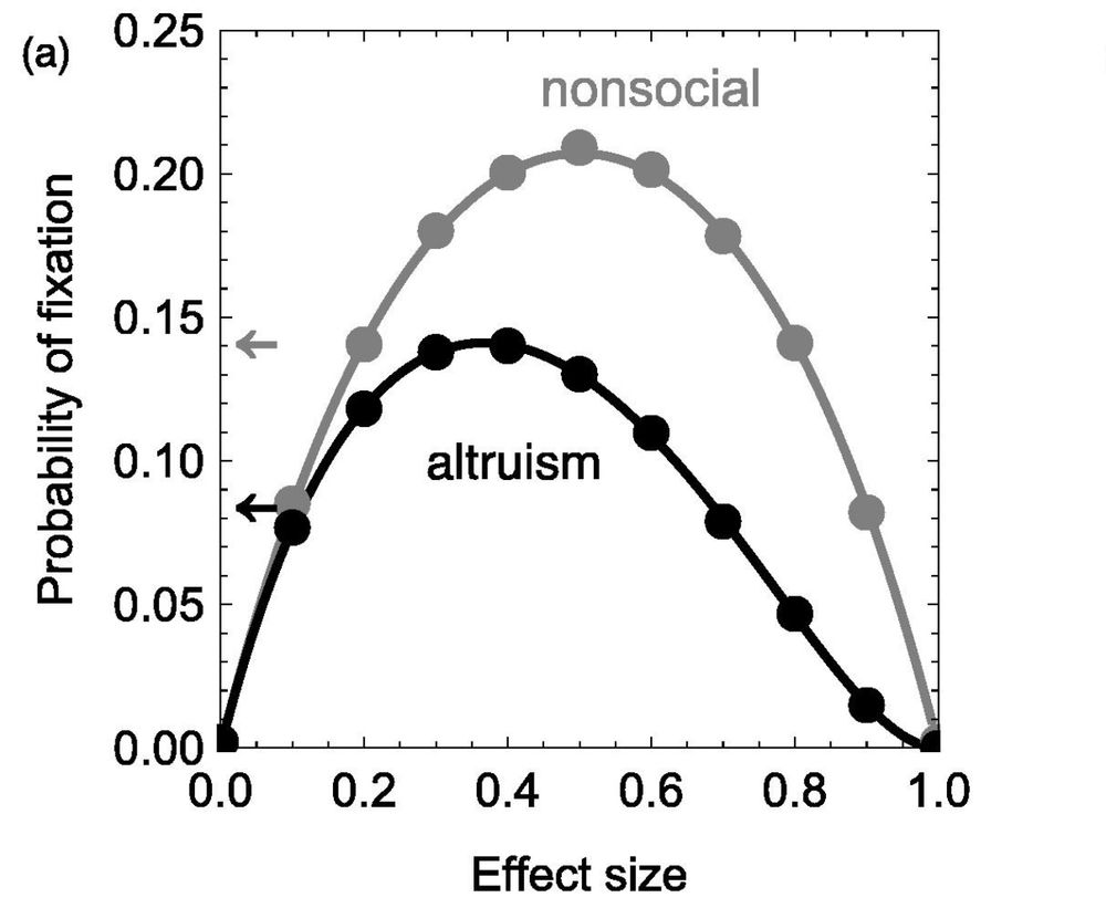 A figure from the paper, showing the probability of fixation for alleles of different effect sizes in altruism versus nonsocial scenarios.