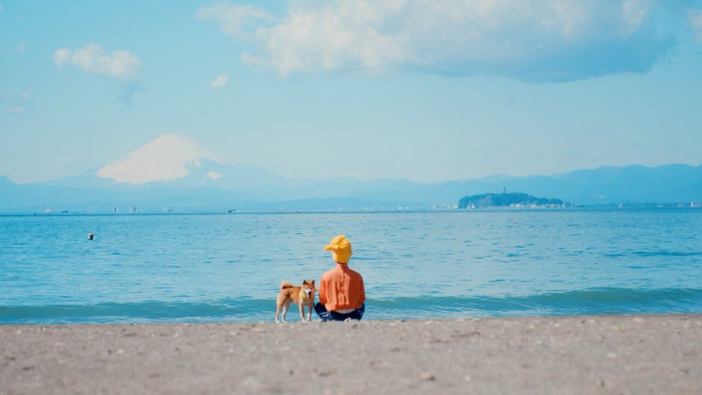 マハラージャン - 波際のハチ公 [Official Music Video]