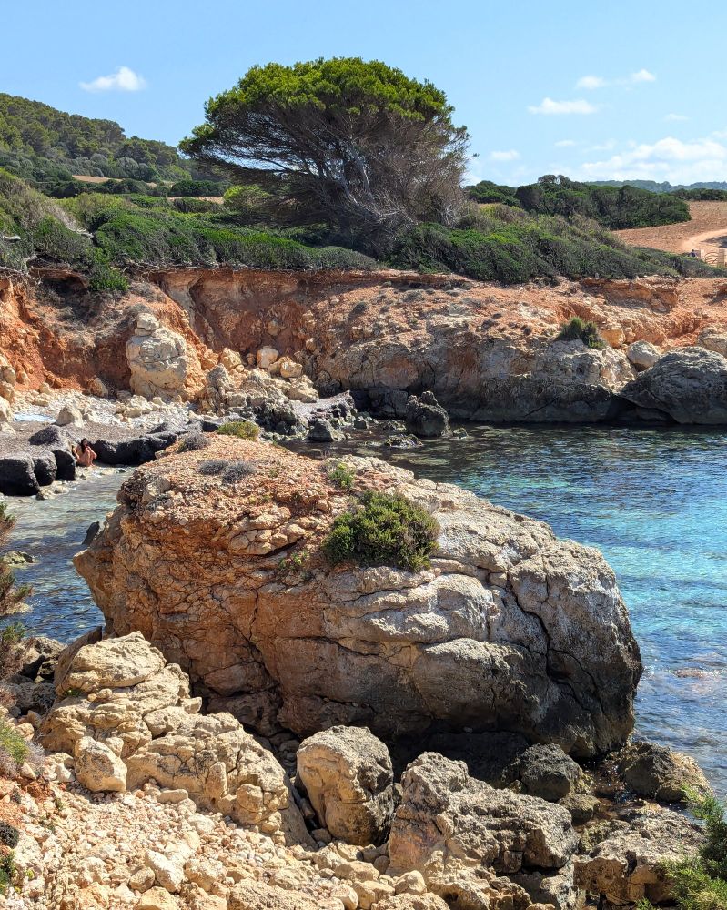 A huge rock with a small plant growing on it at the centre front and on the shore of a small bay with turquoise blue water. A small orange coloured cliff with green shrubs and pine trees growing on top and in the distance behind 